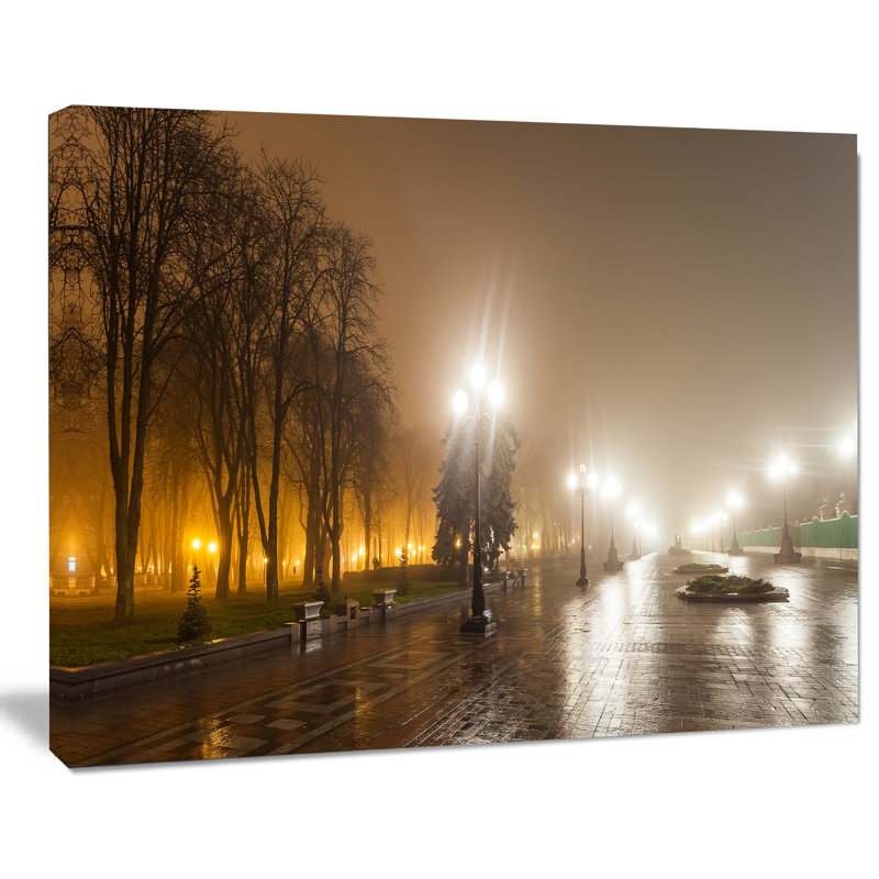 Avenue of City Park at Night - reproduction de photo sur toile tendue, H 30 po x l 40 po x P 1 po