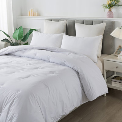 Comforter