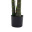 150cm Faux Bonsai Plant in Fabric；Plastic Freestanding