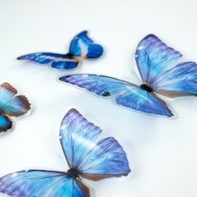 Embellissements papillons bleus