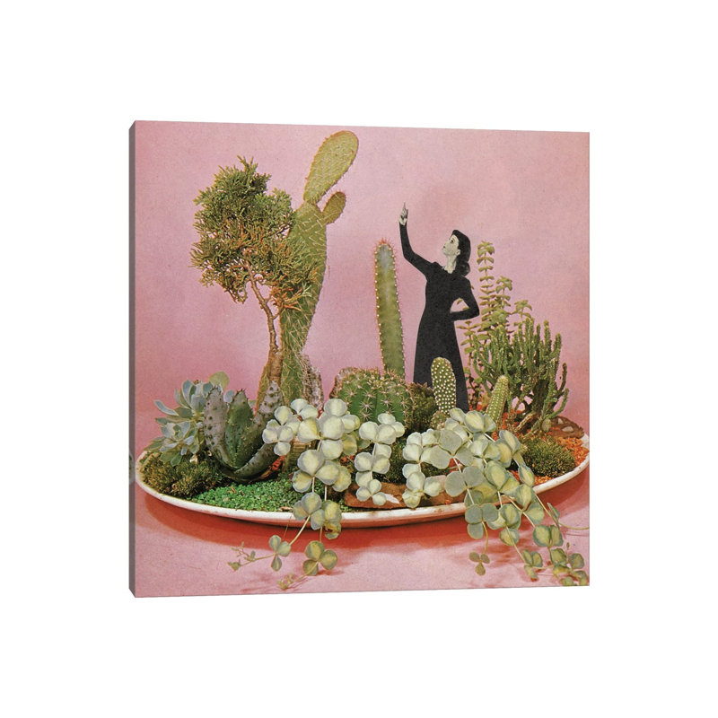 The Wonders Of Cactus Island by Cassia Beck - Wrapped Canvas Gallery-Wrapped Canvas Giclée, 45.72 cm H x 45.72 cm W