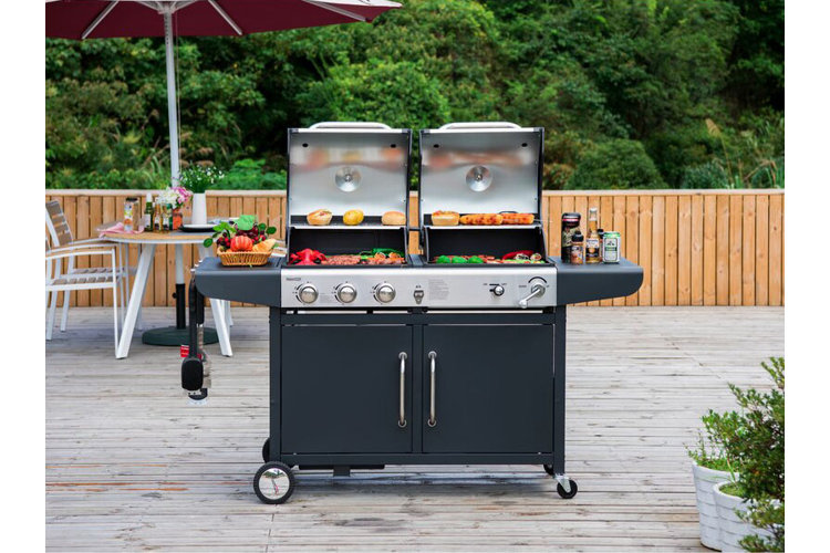 charcoal and gas grill grilling meats and vegetables