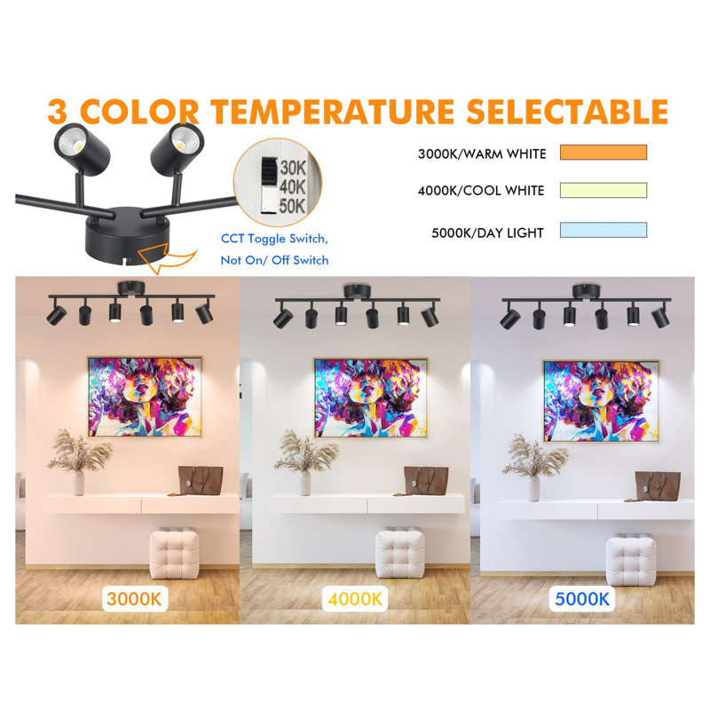 Ensemble d'éclairage sur rail 40 lumières DEL à intensité variable 40W