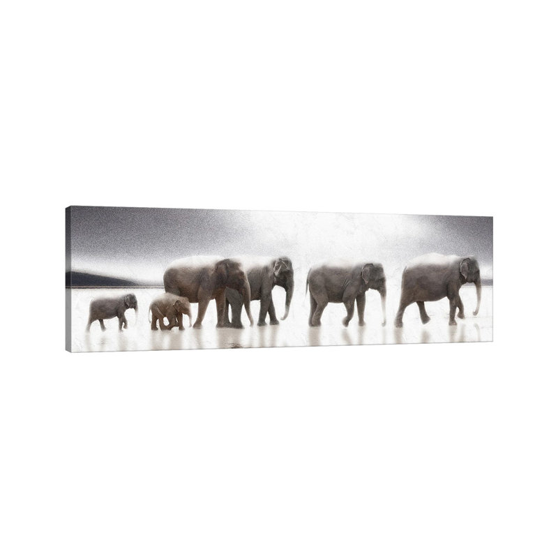 Elephant Mirage by Noah Bay - Wrapped Canvas Panoramic Print, 30.48 cm H x 91.44 cm W x 3.175 cm D