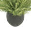 Astilbe Arrangement In A Fiberstone Pot