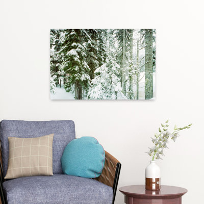 Snow Covered Evergreen Trees At Stevens Pass Washington State Usa Abstract Contemporary Forest Landscape Art