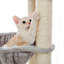 Derosa 65.4'' H Cat Tree