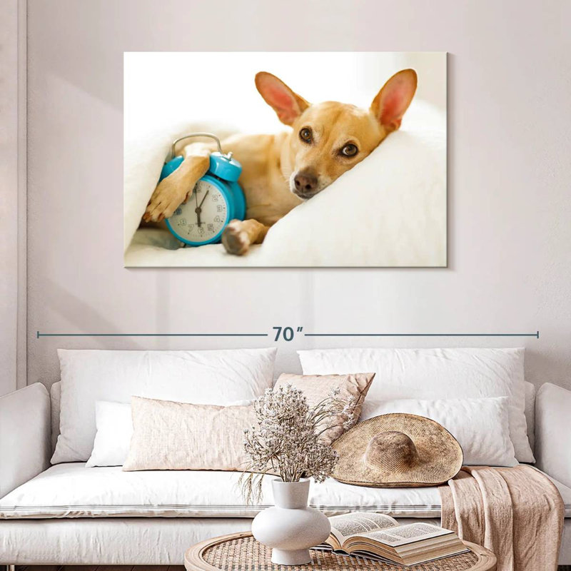 Brampt Dog Alarm, 30" H x 45" W