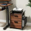 Ziolkowski 2-Drawer Mobile Vertical Filing Cabinet-1800518980