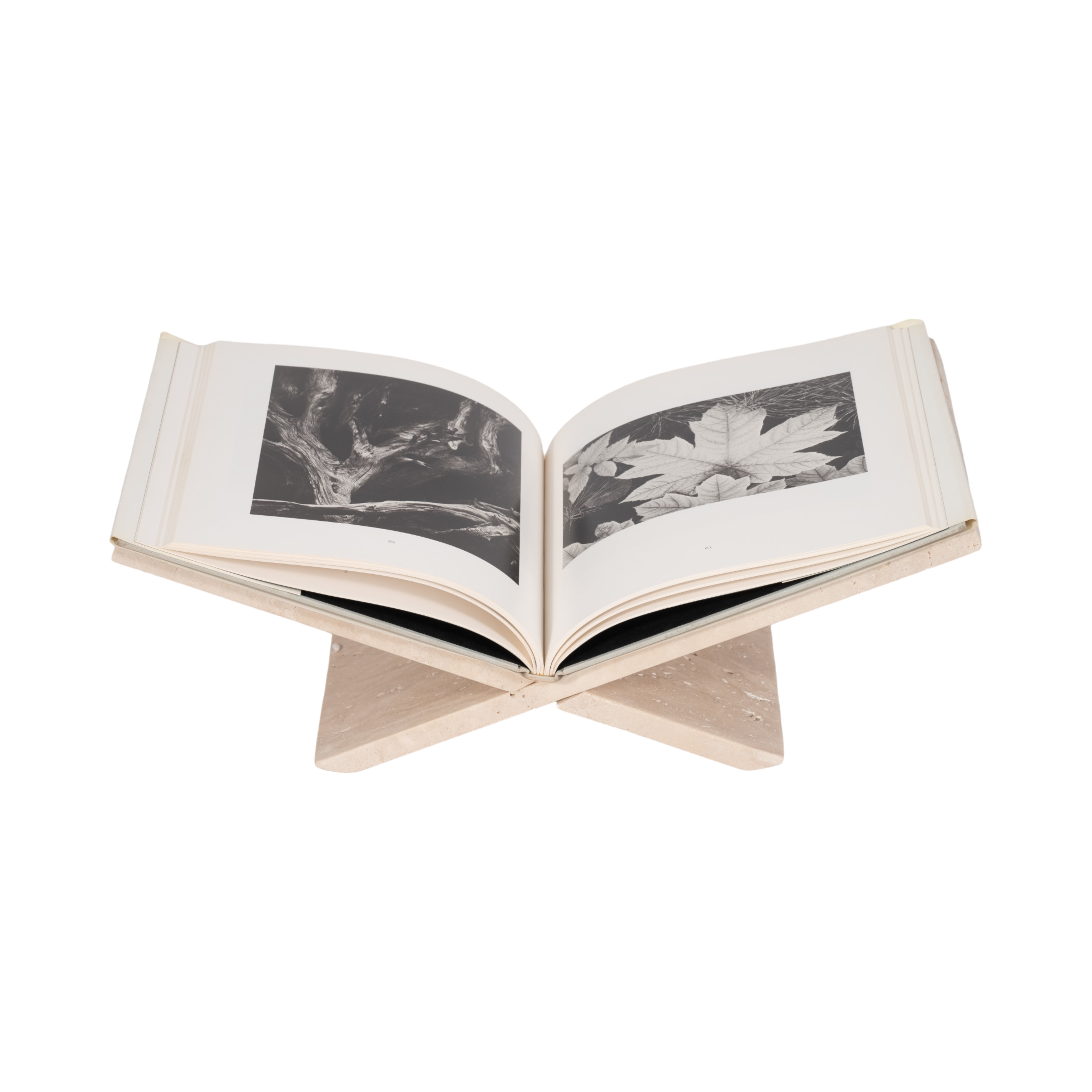 Sagebrook Home Nazeerah Stone Novelty Decorative Tray & Reviews | Perigold