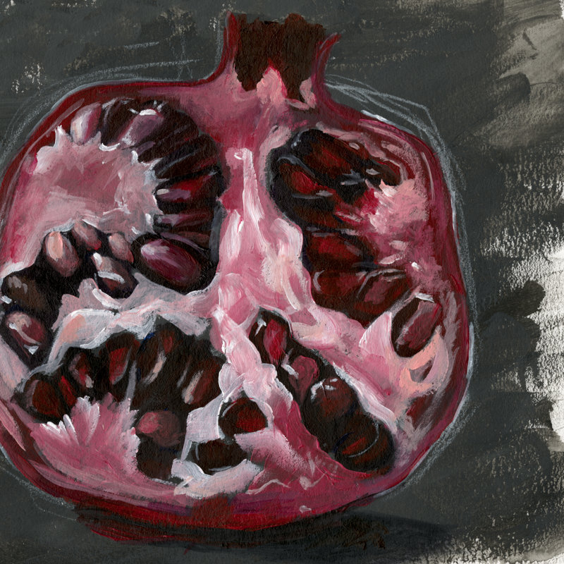 Pomegranate Study On Black II by Jennifer Paxton Parker - Wrapped Canvas Painting, 91cm H x 91cm W