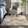 Dreya Abstract Indoor Rug