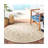 Arneshia Oriental Brown Indoor / Outdoor Area Indoor/Outdoor Area Rug-1747581594