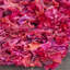 Tapis rose à poils longs Godsey-1604685657