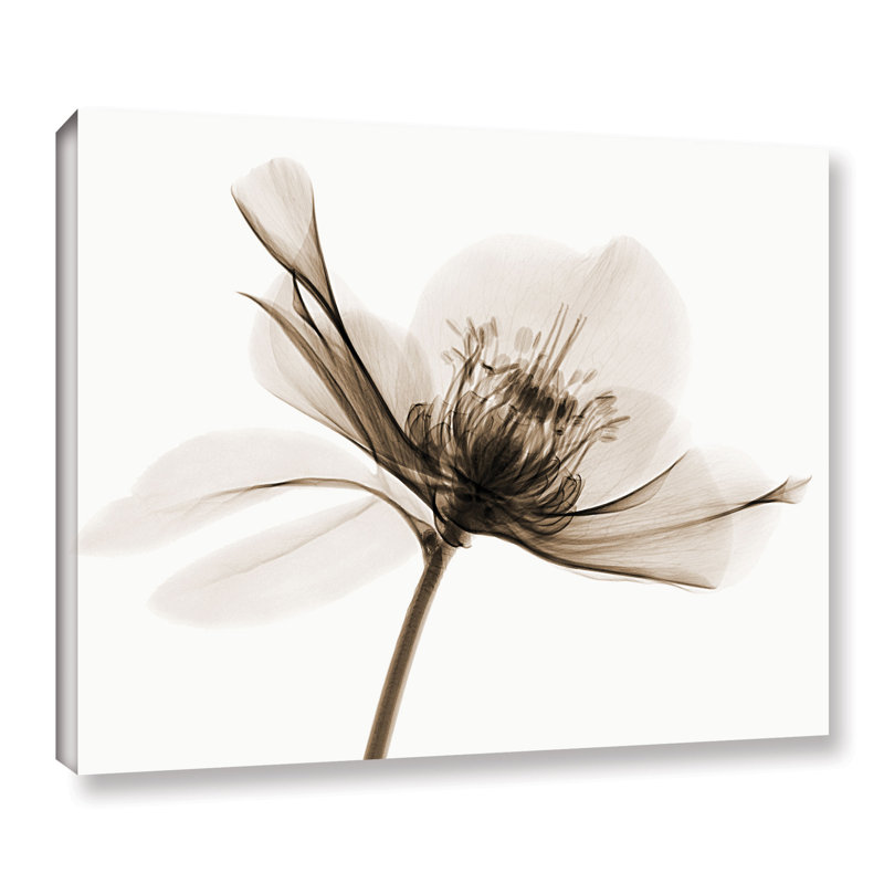 Hellebore ii, impression sur toile, H 8 po x l 10 po x P 2 po, Toile tendue