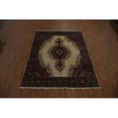 Traditional Area Rug 10x12
