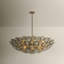 Wassama Chandelier-1436477704