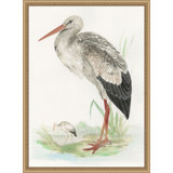 Waterbird 2 Print