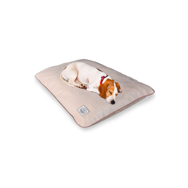 Lit pour animal de compagnie, L 35,4 po x l 23,6 po, Crème, crème
