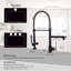 Robinet d'évier de cuisine commercial noir et nickel, poignée simple-119337436