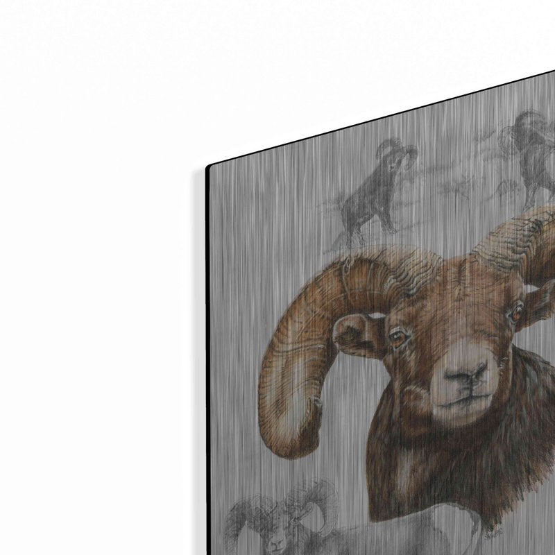 " Big Horn Sheep " by Barbara Keith, 16" H x 12" W