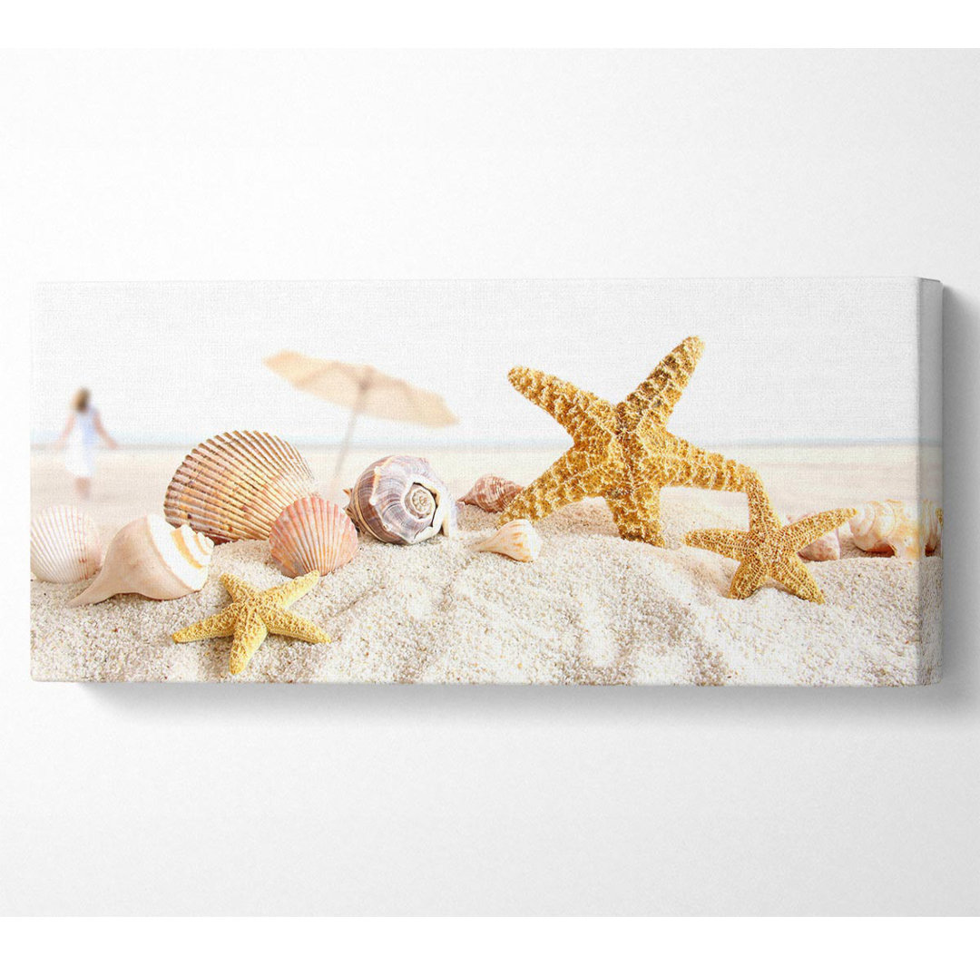 Muscheln und Seesterne am Strand Panoramaleinwand