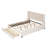 Size Storage Bed Velvet Upholstered Platform Bed With Wingback Headboard And A Big Drawer-542642015