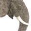 Figurine Hobert