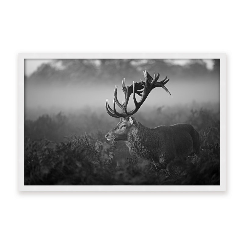 Nature Inspired Sunny Morning by  - Picture Frame Photograph on Paper, 32" H x 48" W x 1.125" D, Framed Matted Print, Black
