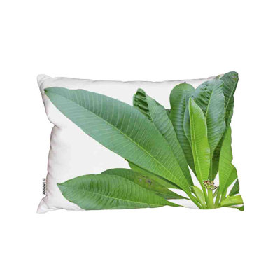 Lumbar Cushion