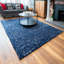 Bontemps Shag Area Rug-1457408798