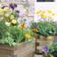 Wood Planter Box