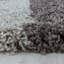 Tappahannock Shag Area Rug-1731178435