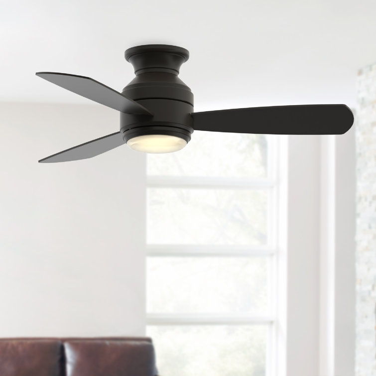 Lasky 44'' Ceiling Fan with LED Lights