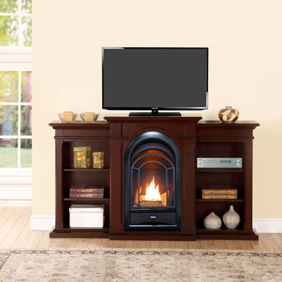 Heating Vent Free Natural Gas/Propane Fireplace