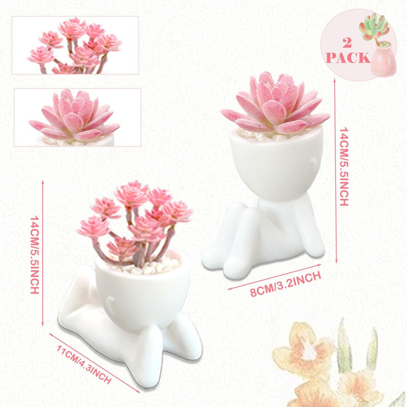 Ensemble de 2 plantes artificielles pour plantes grasses artificielles pour femmes, bureau, chambre à coucher, décor esthétique de salle de bain