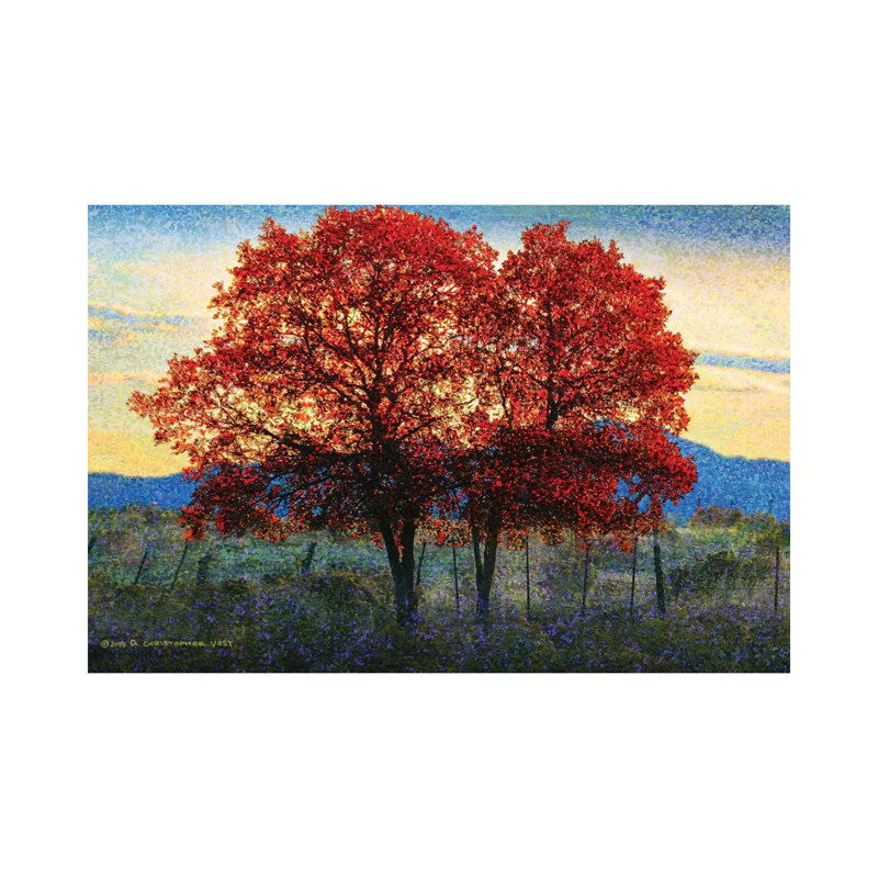 Twin Oaks by Christopher Vest - Wrapped Canvas Painting, 20.32 cm H x 30.48 cm W