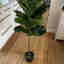 Photos des clients 1 de 2