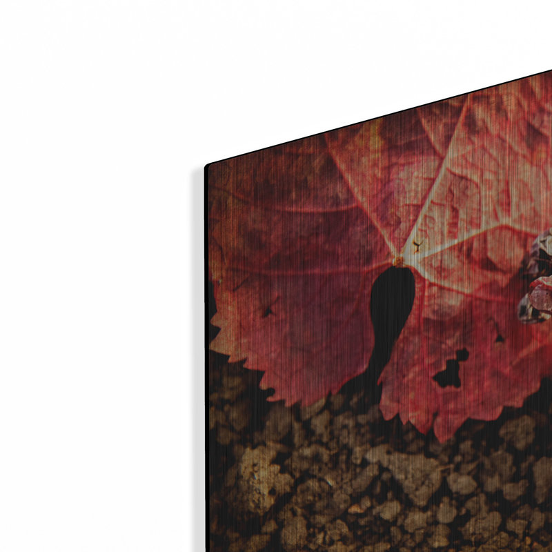 «The Fallen» par Jessica Rogers, H 16 po x l 24 po