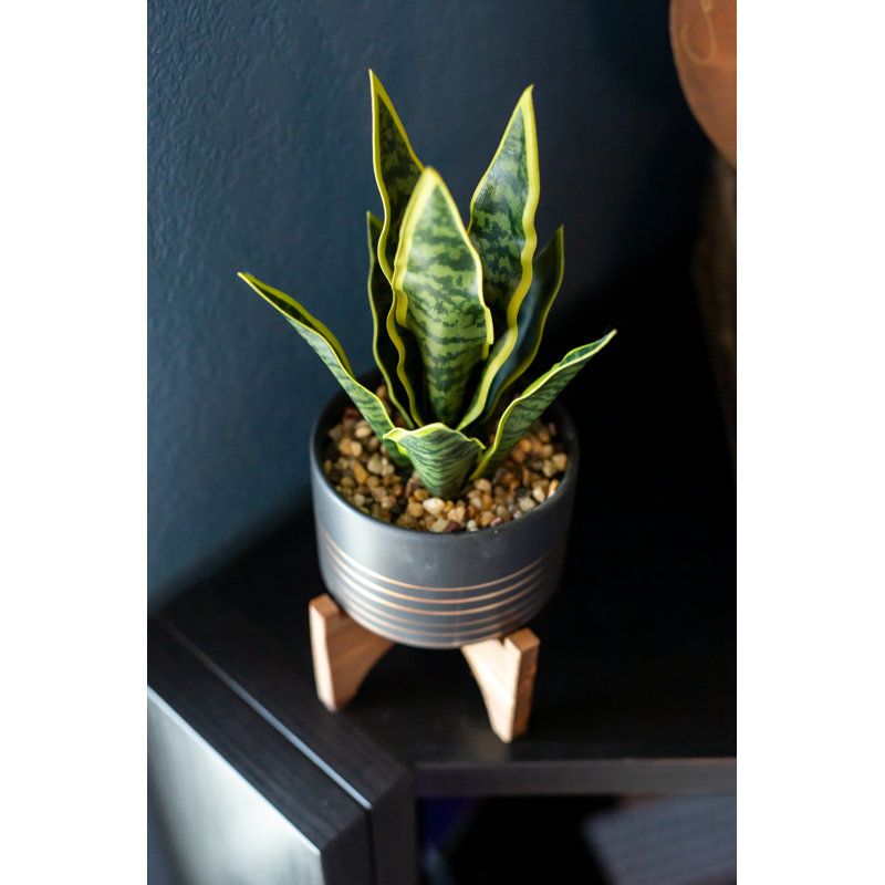 Plante artificielle en pot 12 po Gallucci, Noir