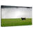 Brampt Angus Cow-108946898