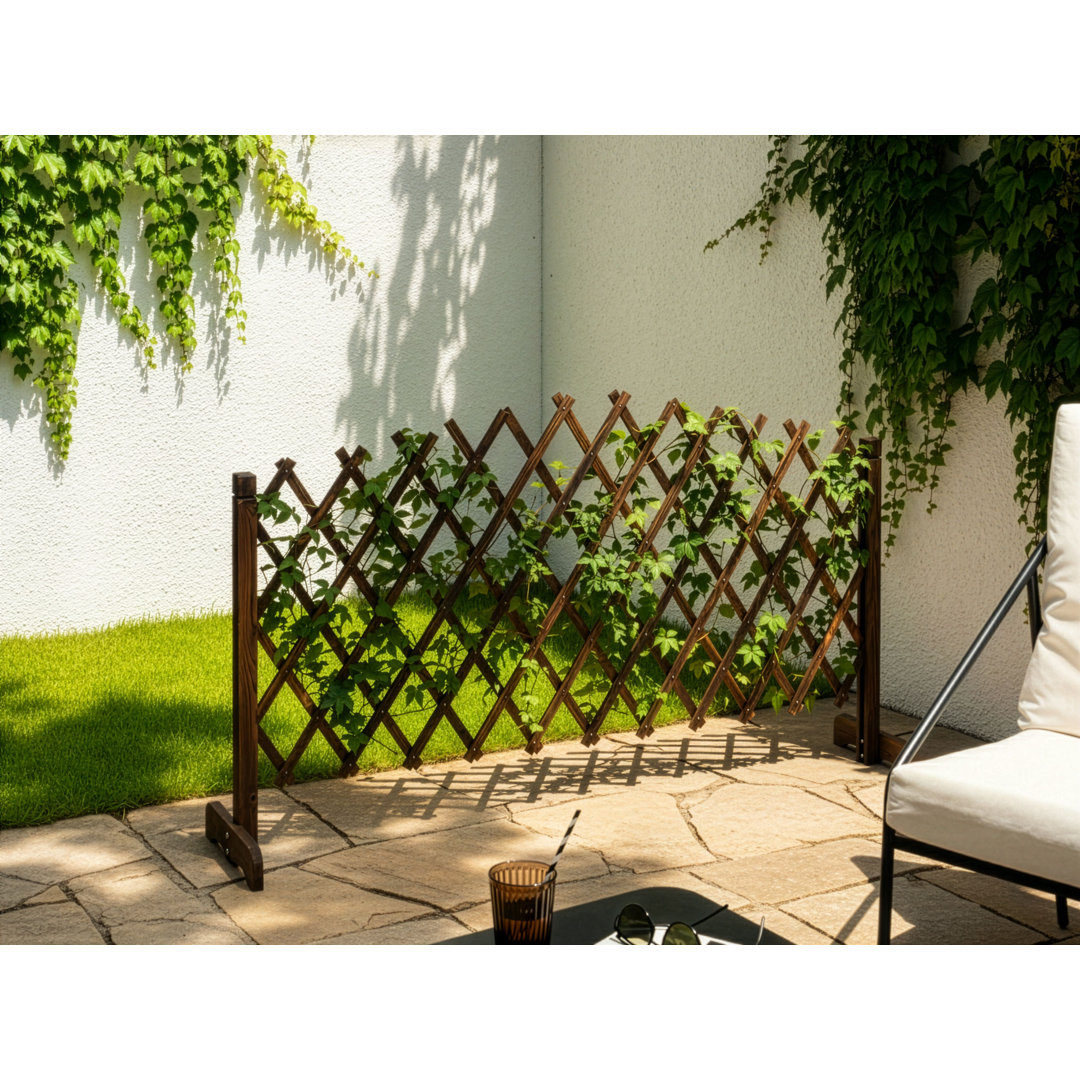Garden Trellis PAVAROLO Extendable Dark Brown