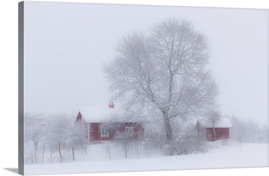 «Winter Idyll» par Allan Wallberg, Straub, reproduction de photo, H 15 po x l 24 po x P 1,5 po, Toile