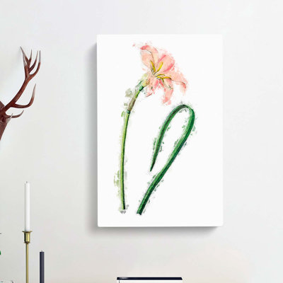 Pink Fairy Lily - Wrapped Canvas Painting