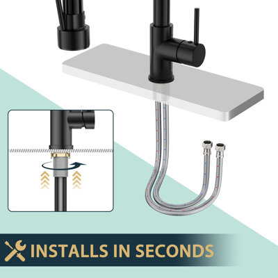 Pull Down Kitchen Faucet with Deck Plate