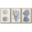 Ensemble de 3 cadres photo sur toile Antique Coral Collection V-97759052-97759056