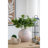8.5X5.5X6.3 Inches Beige Finish Sand And Cement Shell Planter, Complements Industrial Home Decor Planter With Design, Textured Finish, For Plant Decoration-391172482