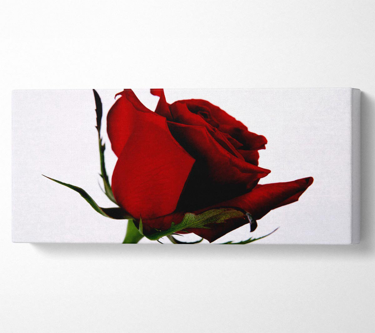 Red Roz Print Ebern Designs Single Red Rose - Print | Wayfair.co.uk