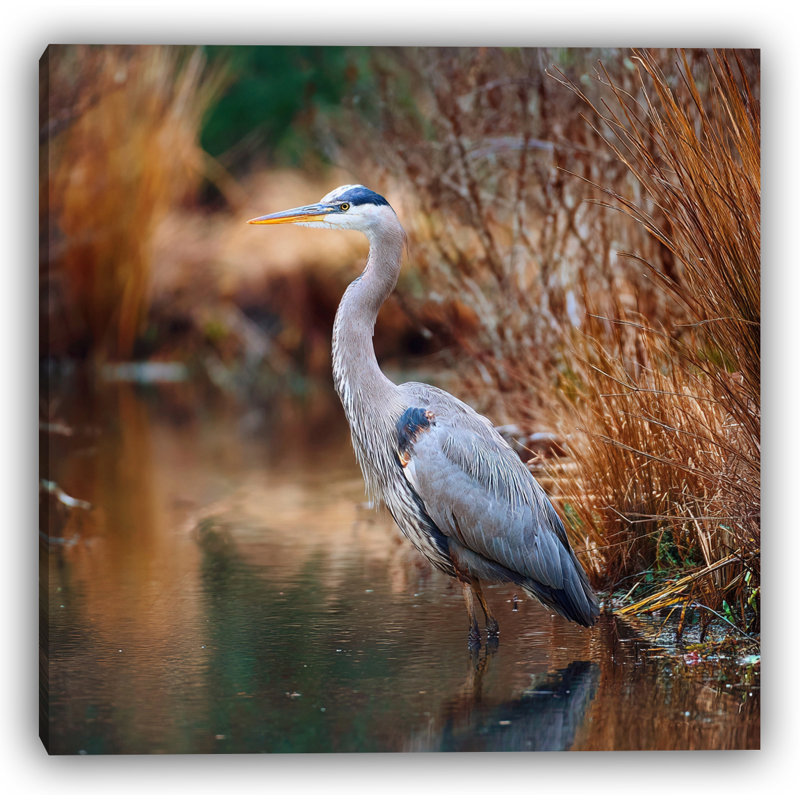 Marsh Sentinel I — Wrapped Canvas Wall Art, 12x12