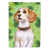 Beagle brun